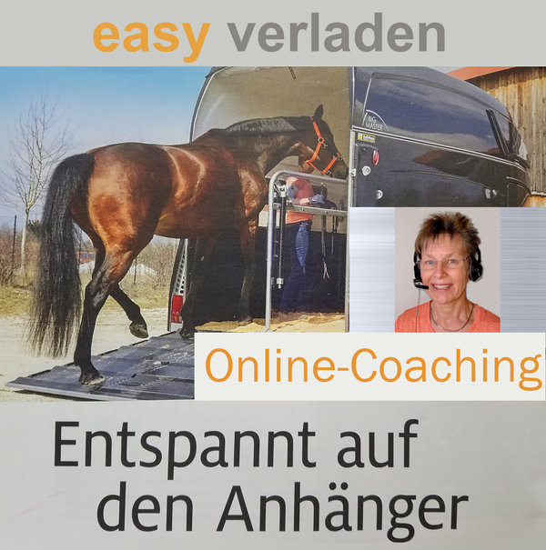 Online Coaching - Bodenarbeit oder Easy Verladen