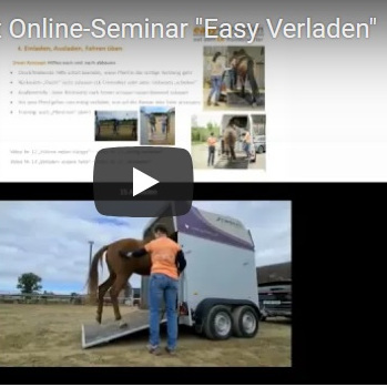 Online Seminar Easy Verladen - 45 Min.-Video